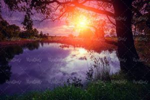 چشم انداز غروب خورشید درخت طبیعت بهاری دریاچه