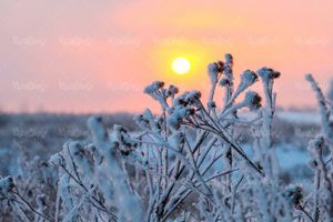 منظره چشم انداز طبیعت زمستانی غروب خورشید