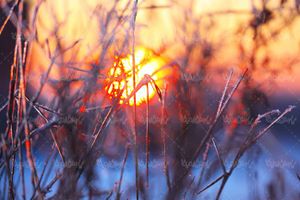 منظره چشم انداز طبیعت زمستانی غروب خورشید3