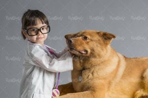 دام پزشکی کودک دام پزشک سگ حیوان اهلی