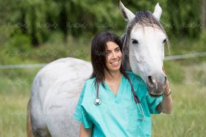 دام پزشکی دکتر دامپزشک اسب پرورش اسب