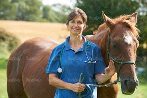 دام پزشکی دکتر دامپزشک اسب پرورش اسب1