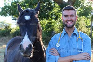 دام پزشکی دکتر دامپزشک دامپزشکی اسب