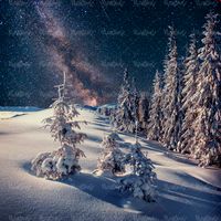 منظره برفی طبیعت زمستان چشم انداز شب برفی