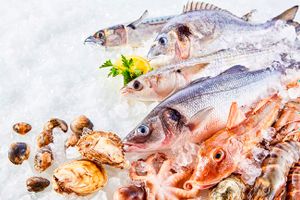 ماهی میگو پروتئینی غذای دریایی