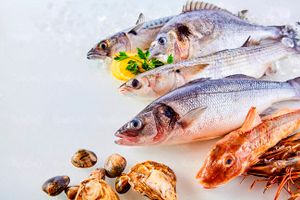 ماهی میگو پروتئینی غذای دریایی