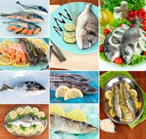 ماهی پروتئینی غذای دریایی