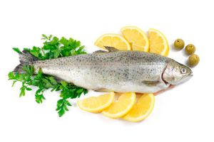 ماهی پروتئینی غذای دریایی