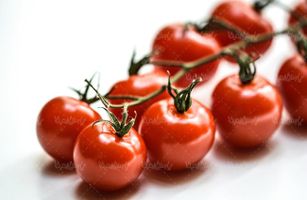 گوجه فرنگی میوه فروشی میوه سرا
