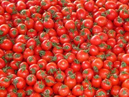 گوجه فرنگی میوه فروشی میوه سرا