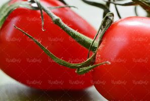 گوجه فرنگی میوه فروشی میوه سرا