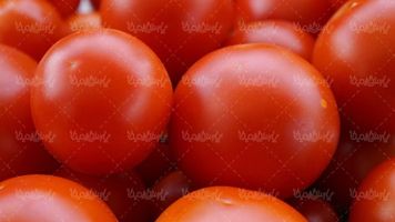 گوجه فرنگی میوه فروشی میوه سرا