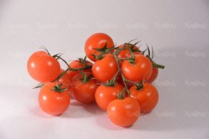 گوجه فرنگی میوه فروشی میوه سرا