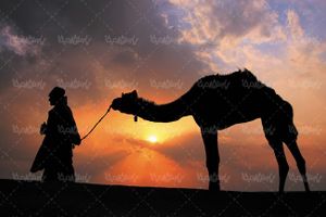 شتر کاروان ساربان منظره غروب خورشید