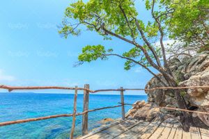 صخره سنگی ساحل دریا درخت آسمان آبی