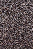 قهوه کائوچو 2