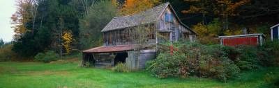 طبیعت خانه چوبی جنگل