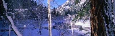 منظره طبیعت زمستان رود برف جنگل 3