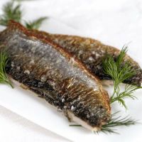 خوراک غذا دریایی ماهی 