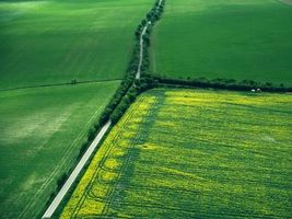 عکس هوایی مزرعه جاده