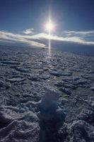 قطب شمال یخ اقیانوس 2