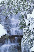 آبشار درخت برف منظره طبیعت
