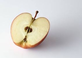 سیب میوه 4