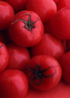 گوجه فرنگی رب چاشنی غذا