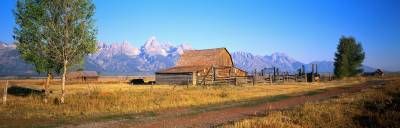 کوه دشت طبیعت کلبه چوبی درخت 