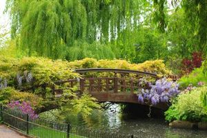 باغ طبیعت منظره پل چوبی آب فضای سبز