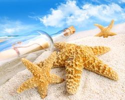 ستاره دریایی بطری نامه