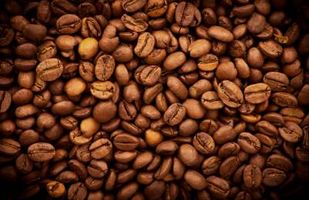 دانه قهوه محصول کشاورزی 1