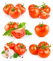 گوجه فرنگی سبزیجات سیر