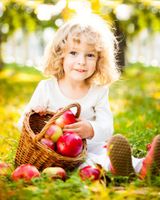 دختر بچه سبد میوه سیب