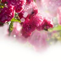 دسته گل هدیه گلفروشی فصل بهار 1