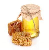 عسل طبیعی پرورش زنبور صبحانه