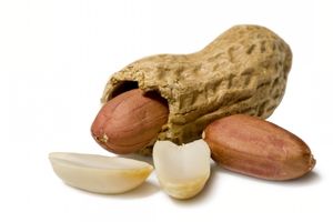 خوراکی خشکبار آجیل بادام هندی