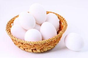 تخم مرغ لبنیات 2