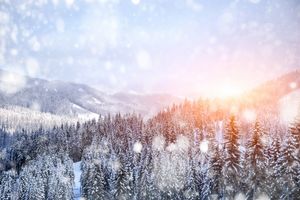 طبیعت برف جنگل زمستان منظره سرما خورشید 1