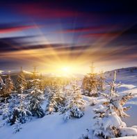 منظره زمستان جنگل کوه طبیعت خورشید 1