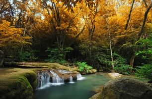 منظره جنگل آبشار طبیعت بسیار زیبا پاییز