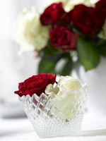 گلدان گل گل فروشی زیبایی