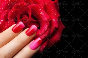 لاک ناخن قرمز جگری و صورتی 1