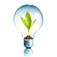 لامپ صد جوانه گیاه انرژی پاک 