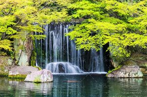 رود پر آب آبشار درخت آب تخته سنگ 