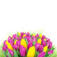دسته گل تزئینی دسته گل دو رنگ 