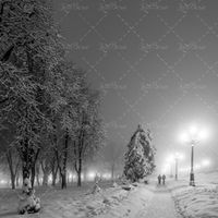 هوای برفی شب راه باریک نور چراغ 