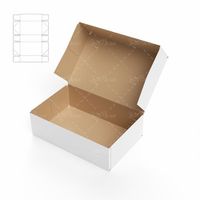 طراحی و تولید کارتن سفید جعبه کفش 