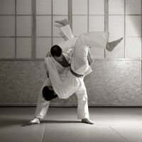 ورزش رزمی کاراته تکواندو مبارزه