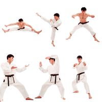 ورزش رزمی کاراته تکواندو مبارزه 1